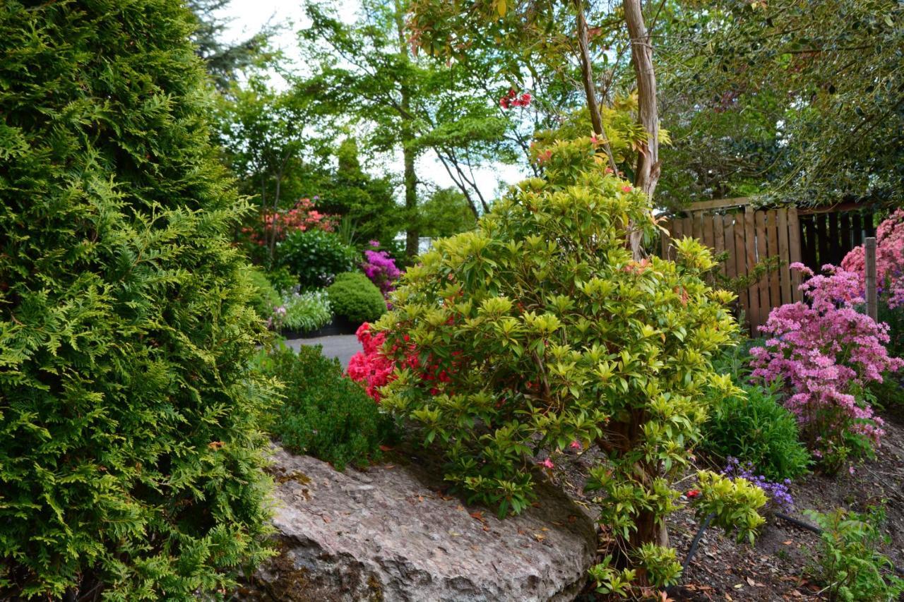 The Grove Lodge Guesthouse Killorglin Eksteriør bilde