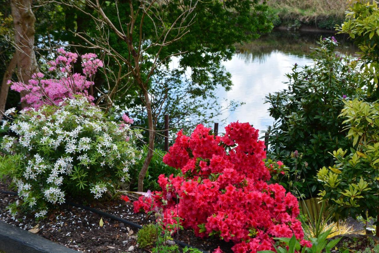 The Grove Lodge Guesthouse Killorglin Eksteriør bilde