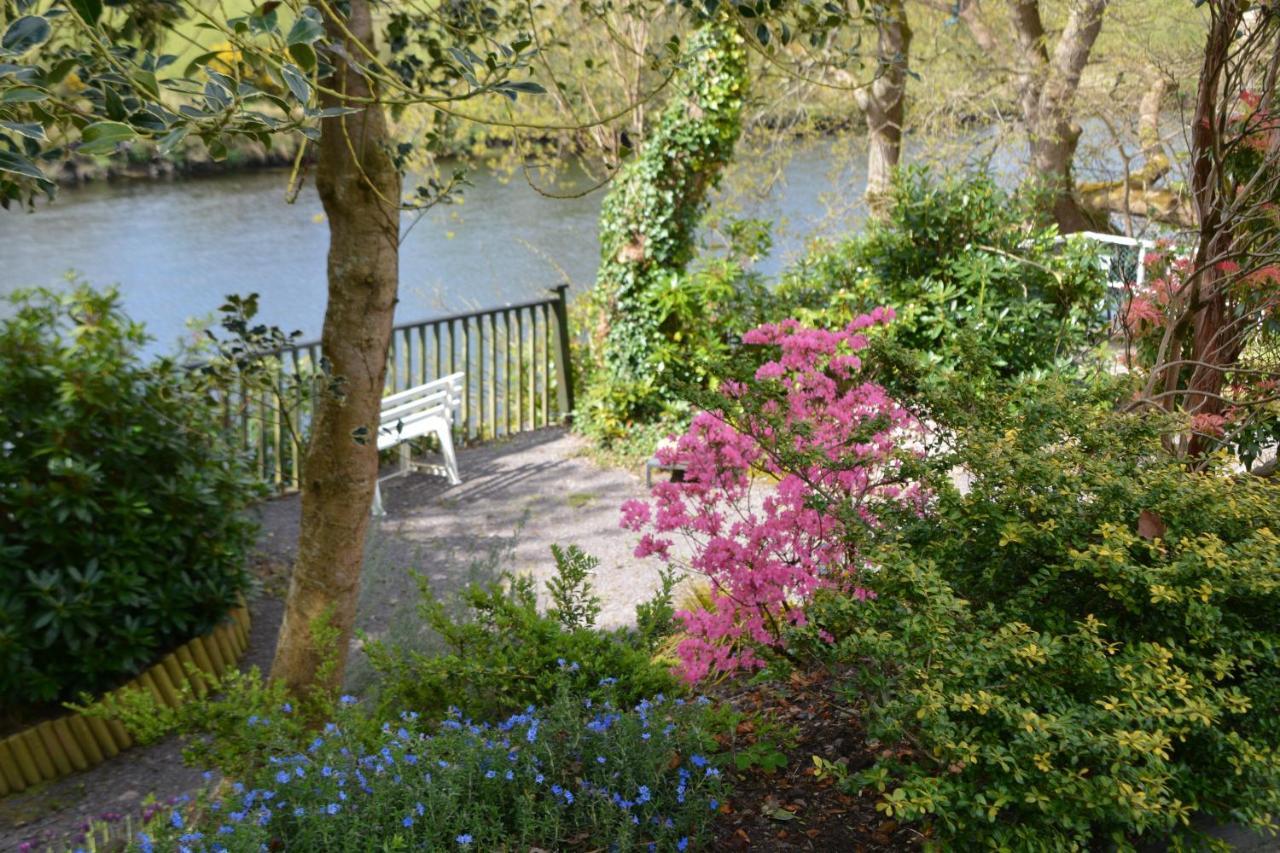 The Grove Lodge Guesthouse Killorglin Eksteriør bilde