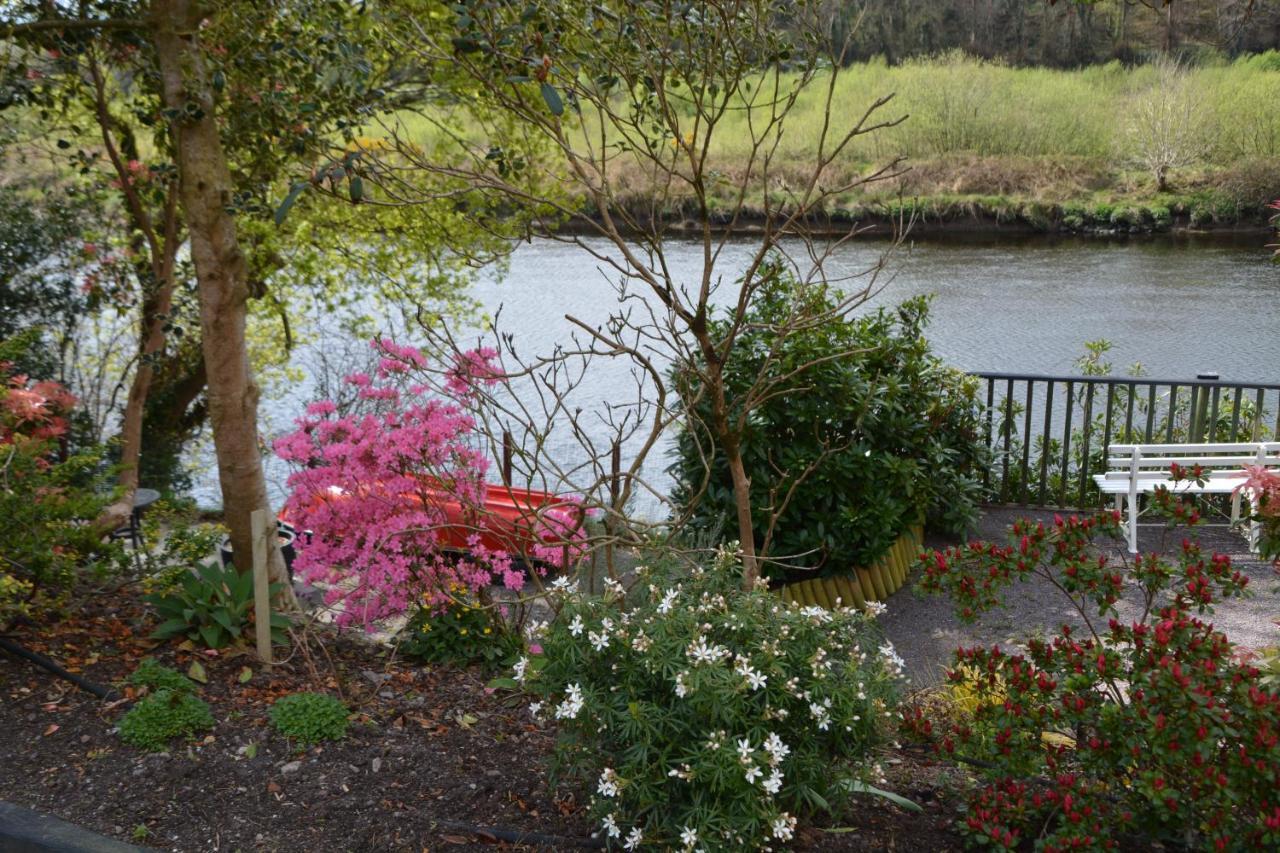 The Grove Lodge Guesthouse Killorglin Eksteriør bilde