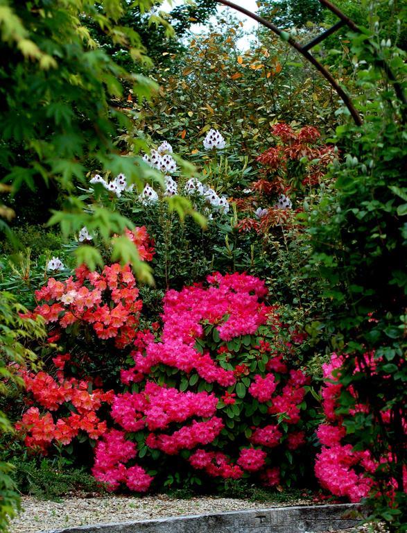 The Grove Lodge Guesthouse Killorglin Eksteriør bilde